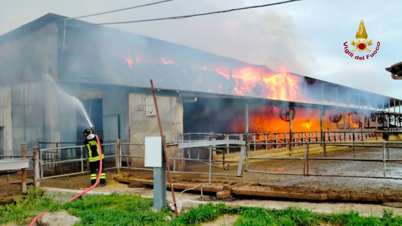 Serra de’ Conti - Incendio in un fienile, salvo il bestiame